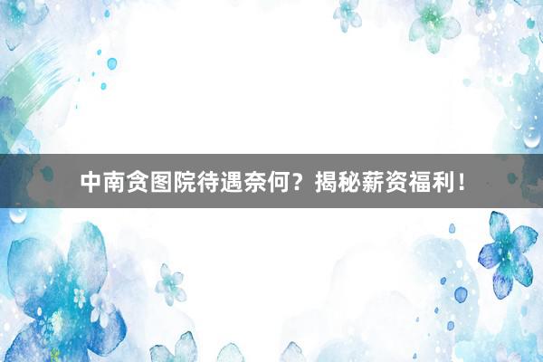中南贪图院待遇奈何?揭秘薪资福利!