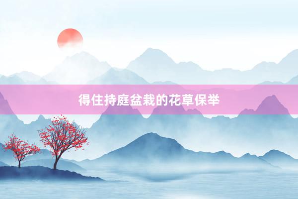 得住持庭盆栽的花草保举