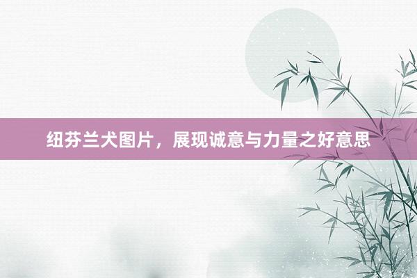 纽芬兰犬图片，展现诚意与力量之好意思